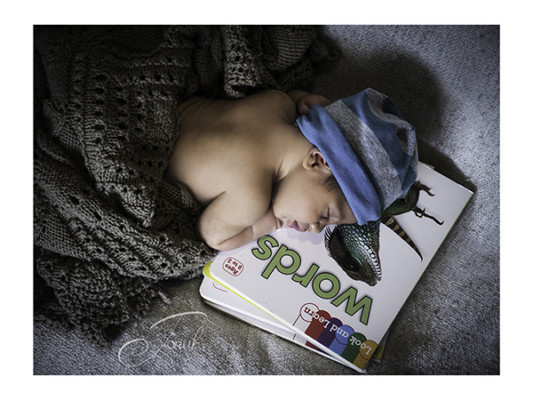 Adelaide Newborn Photographer